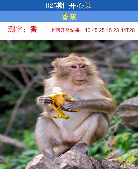 025期开心果[图]