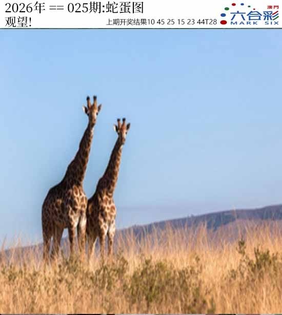 025期正版蛇蛋图[图]