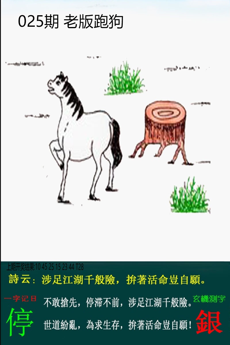 025期老板跑狗[图]