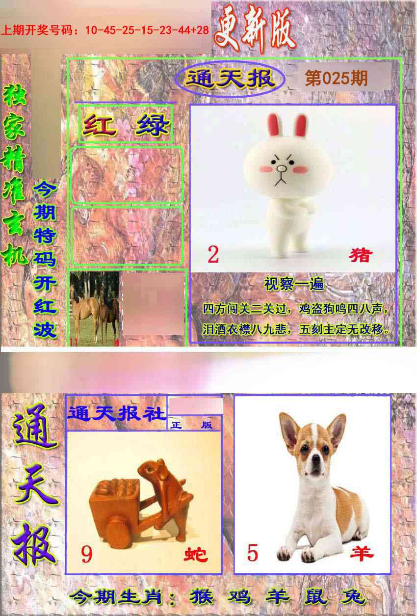025期新通报[图]