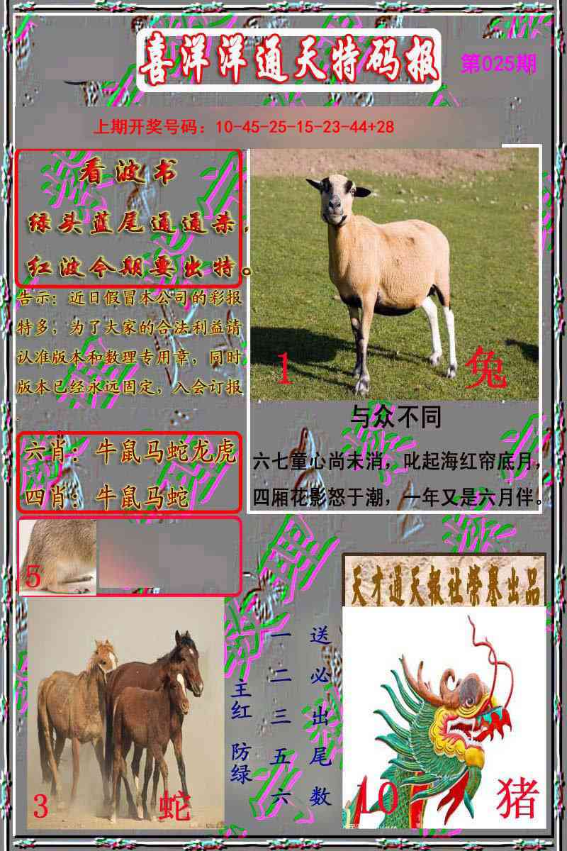 025期洋通报[图]