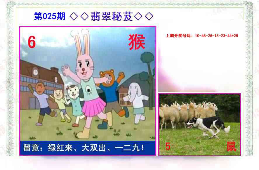 025期翡翠报[图]