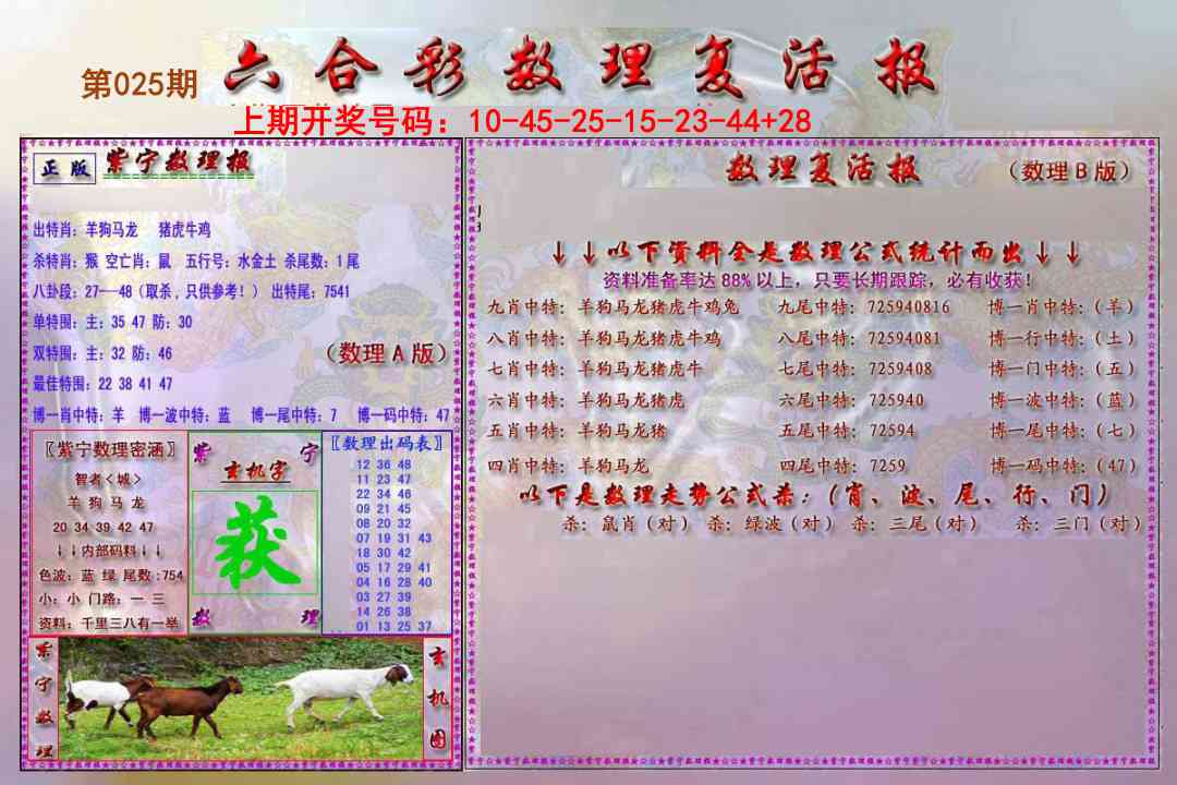 025期数理复活报[图]