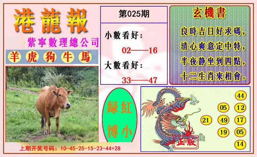025期港龙报[图]