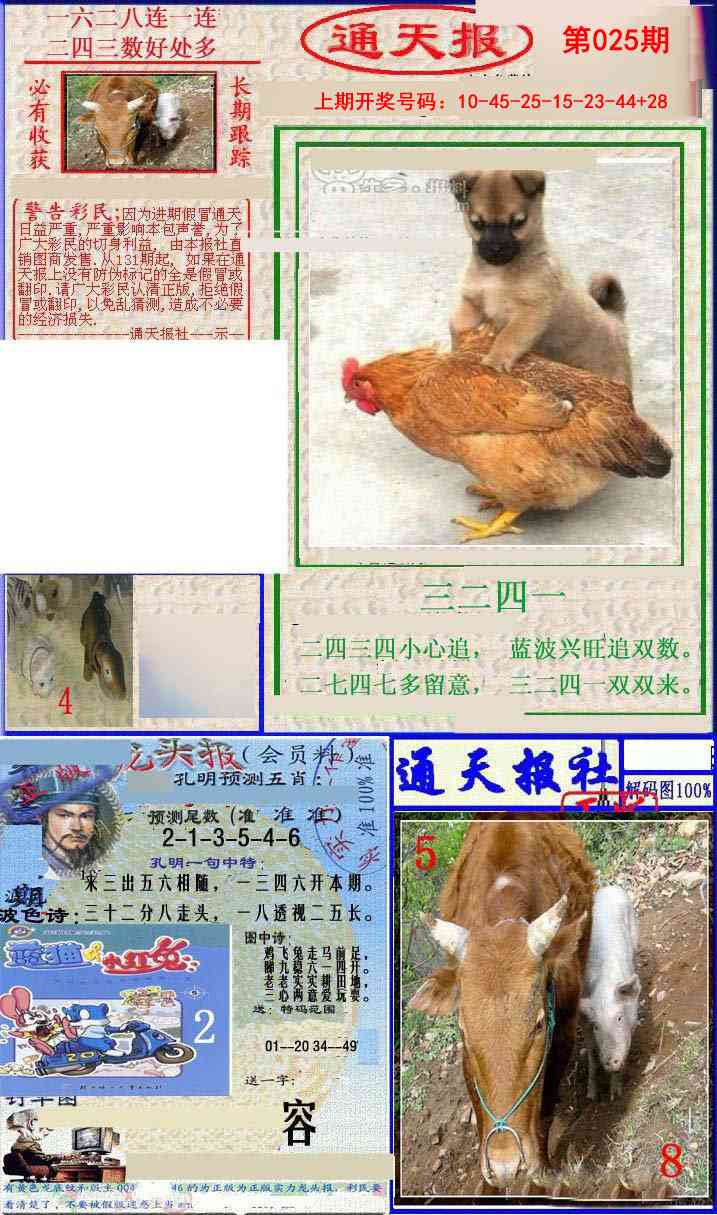 025期实力通天报[图]