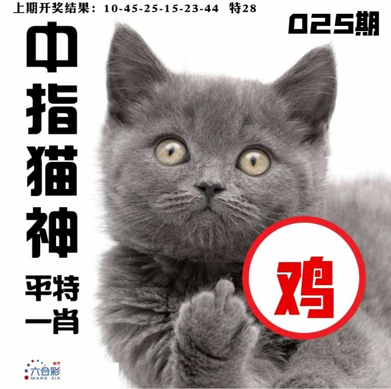 025期中指猫神[图]