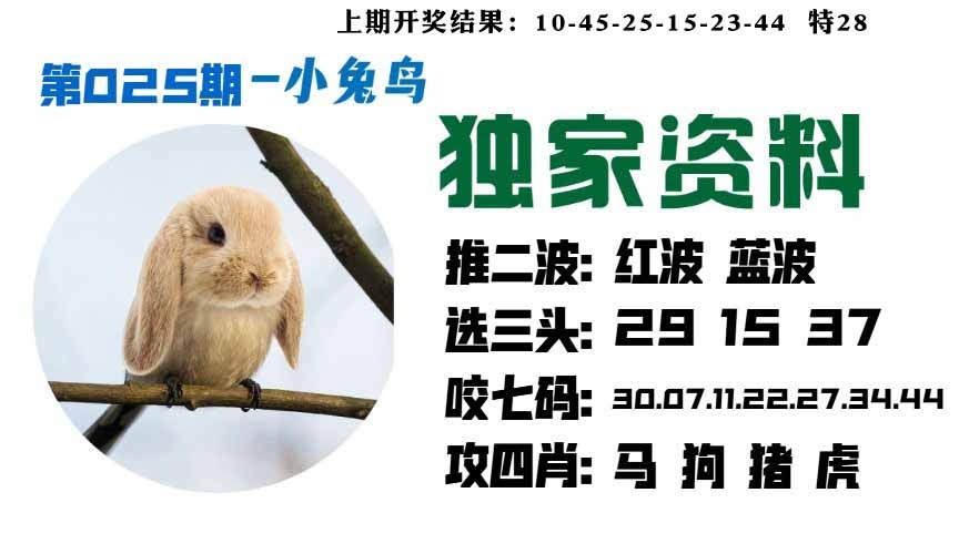 025期小兔鸟[图]